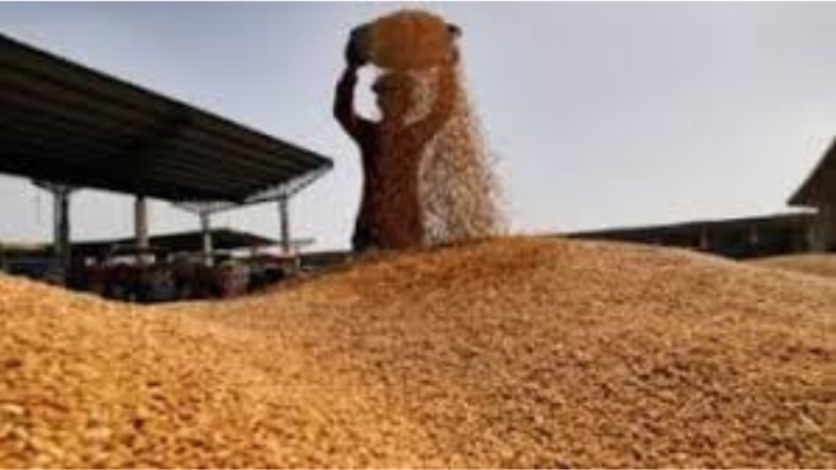 Wheat Reserve: