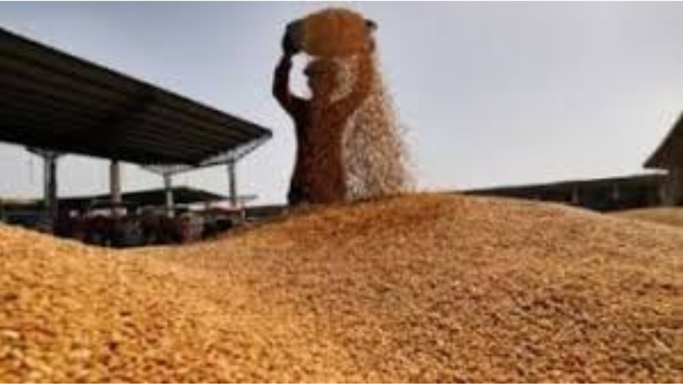 Wheat Reserve: