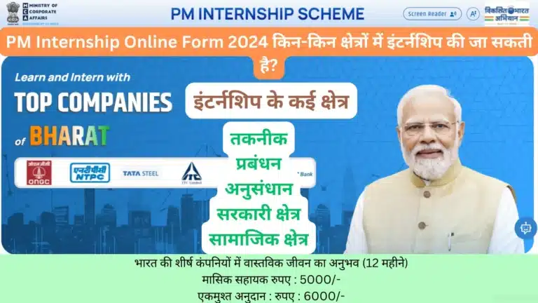 PM Internship Online Form 2024 किन-किन क्षेत्रों में इंटर्नशिप की जा सकती है?